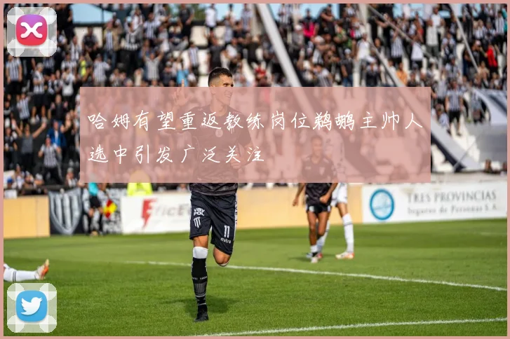 哈姆有望重返教练岗位鹈鹕主帅人选中引发广泛关注